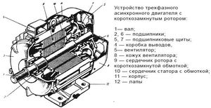 Устройство мотора