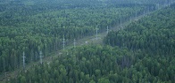 ФСК ЕЭС расчистит 8 тыс. га трасс линий электропередачи на Северо-Западе для защиты от лесных пожаров