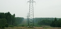 ФСК ЕЭС расчистила на Северо-Западе 6,7 тыс. гектар просек линий электропередачи от угрожающих падением деревьев