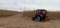 ФСК ЕЭС расчистит в Поволжье свыше 2,4 тысяч гектаров трасс линий электропередачи от кустарниковой растительности